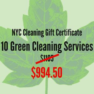 10 Spring Cleaning Service