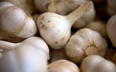 4 Creative Ways to Use Garlic