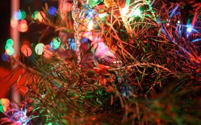 5 Christmas Tree Care & Cleaning Tips for Your Real Christmas Tree