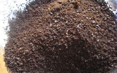 5 Ways to Use Coffee Grounds