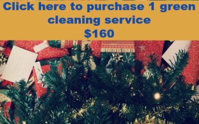 Give the Gift of a Clean Home