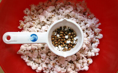 Unpopped Popcorn: How to Repop Unpopped Kernels in the Microwave