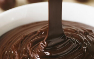 Stain Buster: Chocolate